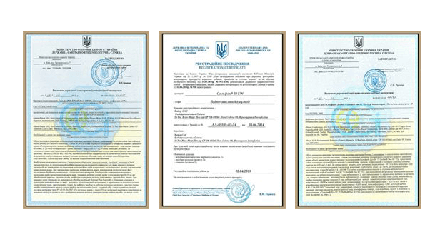 Знищення тарганів, клопів Черкаси